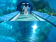 -福州罗源湾海洋世界旅游区
