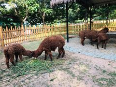 -西安秦岭野生动物园