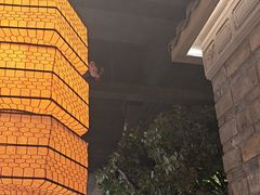 -绿茶餐厅(汇悦大融城店)