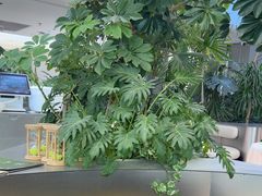 -枕水江南(铁西万象汇店)