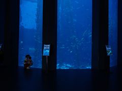 -南昌融创海世界