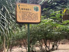 -呀诺达热带雨林