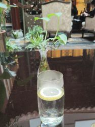 -成都世外桃源酒店-宴会厅·草坪婚礼·会议活动