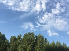 -长白岛森林公园