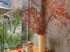 -Infica Coffee