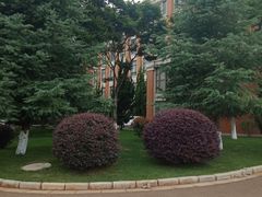 -云南大学-国家示范性软件学院