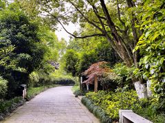 -杭州半山国家森林公园