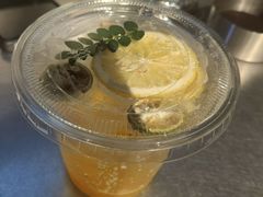 -J Create城市露营咖啡·简餐·宠物(上海动物园店)