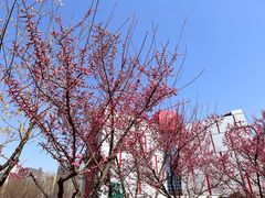 -西安创业咖啡街区