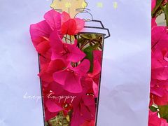 -大口九(东方广场店)