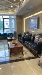 -碧莲盛·不剃发植发