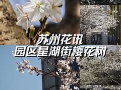 -星湖街(地铁站)