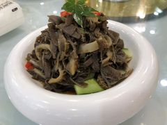 -新名仕新白玉兰餐厅