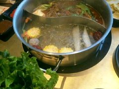 -手选潮汕鲜活牛肉火锅(二七广场店)