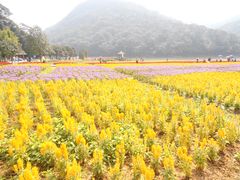 PA040233-广州市石门国家森林公园