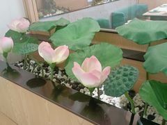 -九孔·筒骨莲藕汤锅(大明宫万达店)