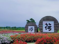 -嘉北郊野公园