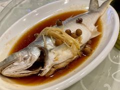 破布子午鱼-光头匠