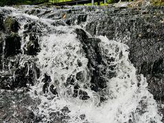 -龙苍沟森林公园