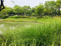 -菊园百果园
