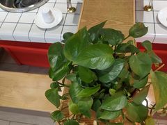 -蛙一刀·麻椒鱼火锅(金仙桥店)
