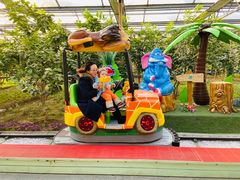 游乐设施-南宫五洲植物乐园