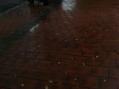 -中国石化北蔡加油站