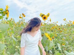 -紫颐香薰山谷景区