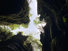 -梭布垭石林景区