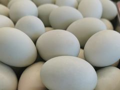 -铁锅炖灶台鱼老三炖鱼馆