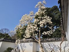 -无锡梅园公园