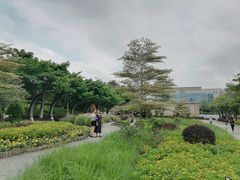 -映月湖公园
