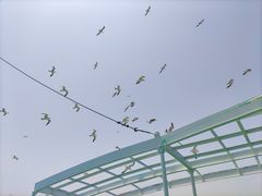 -长岛南北长山旅游景区