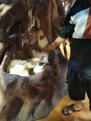 -奇幻萌宠部落(映月湖环宇城店)