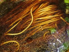 -苏州独墅湖书香世家酒店