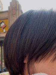 -侨治发型