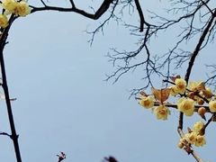 -Miohca缪卡KTV(和平店)