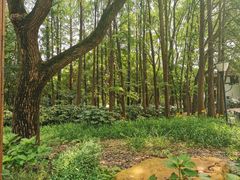 -共青国家森林公园-售票处