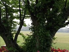 -合肥三国新城遗址公园