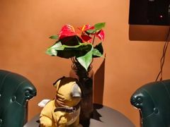 -霖公馆SPA·足道(普善路店)