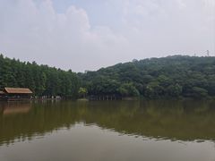 -采石矶景区