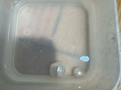 -十八字金·银饰·拼豆·开蚌DIY(魏公芳华里店)