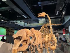 -墨尔本博物馆(Melbourne Museum)