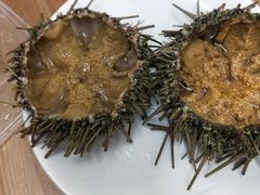 -海胆小馆(东北水饺·春柳店)