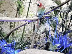 -杭州开元森泊度假乐园