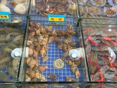 -明记海鲜大排档(巽寮湾店)