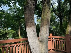 -岳麓山风景名胜区