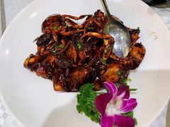 -王朝大酒店徐汇店-地面停车场