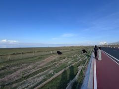 -青海湖国家重点风景名胜区