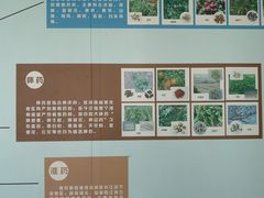 -北京中医药大学-中医药博物馆
